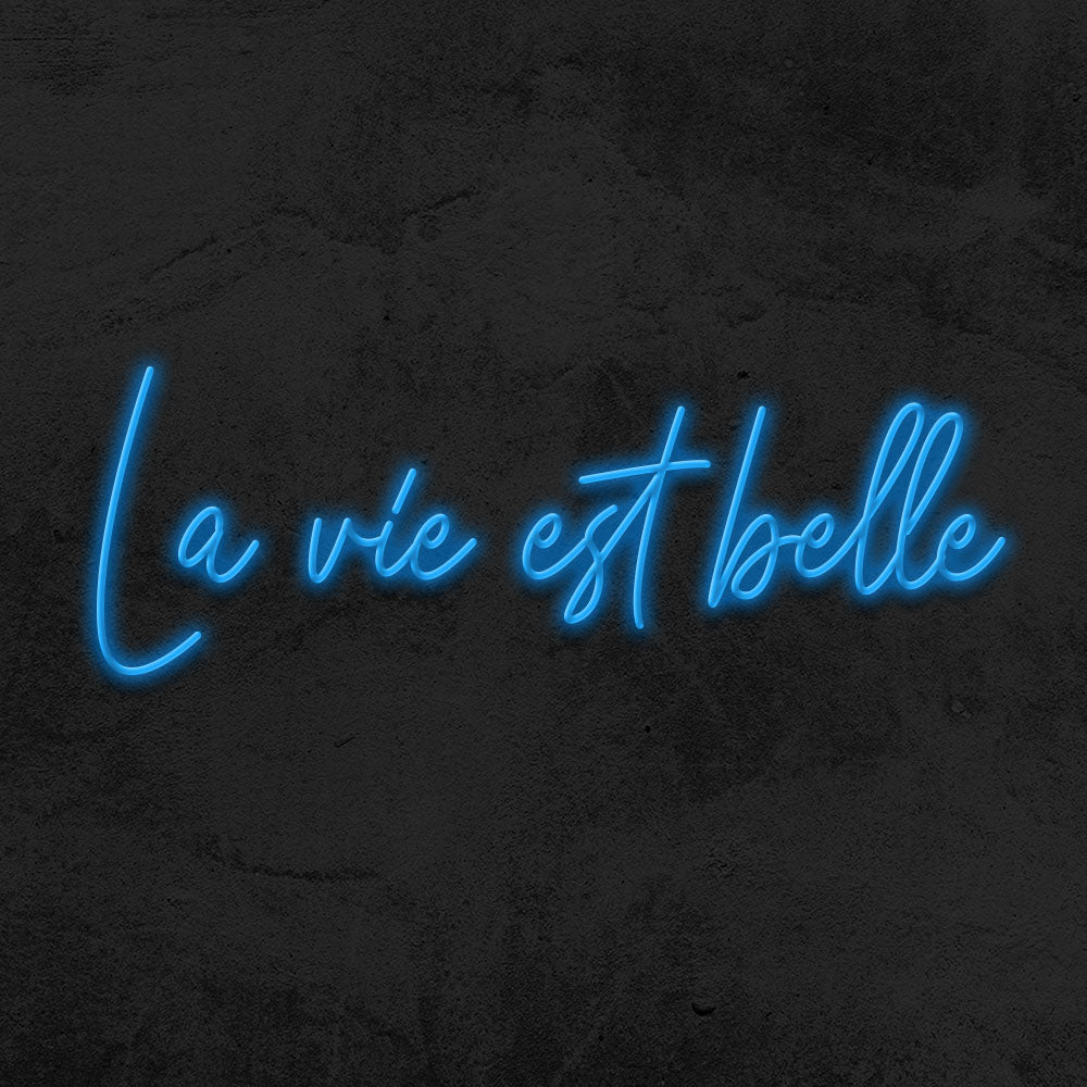 la vie est belle neon sign led mk neon