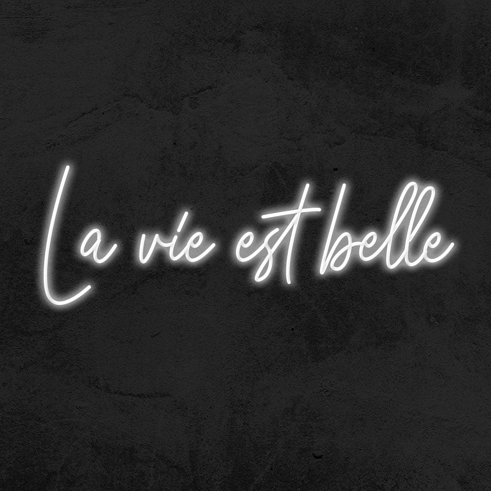 la vie est belle neon sign led mk neon