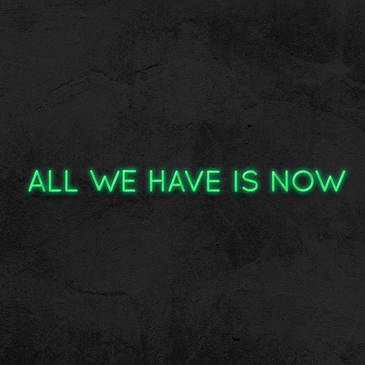 All we have is now neon sign LED home decor mk neon