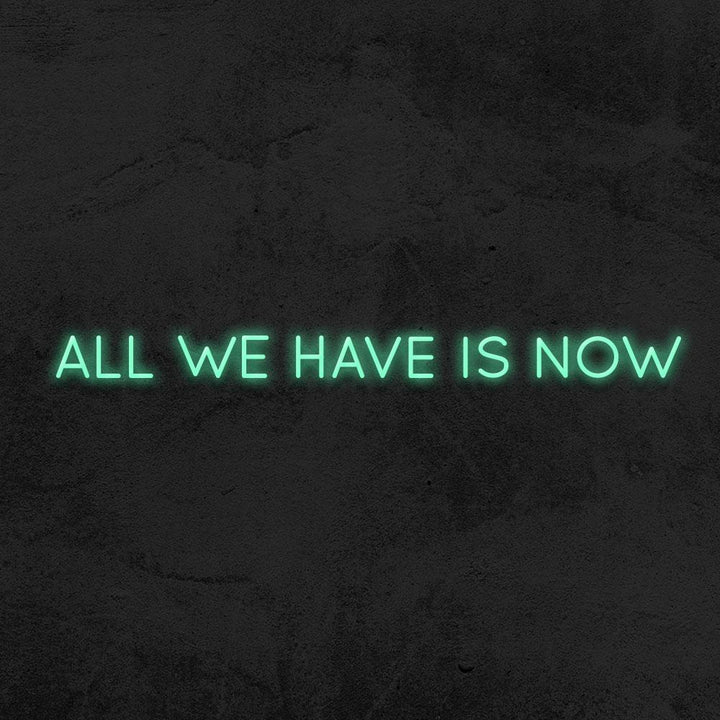 All we have is now neon sign LED home decor mk neon